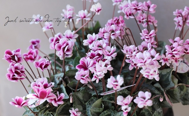 シルバー835 バラ フルーツピック シルバー835 バラ フルーツピック