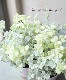 �إꥯ�ꥵ�ࡡ��MIX������