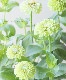 Ȭ�ź餭���˥����������󡡡إ饤���