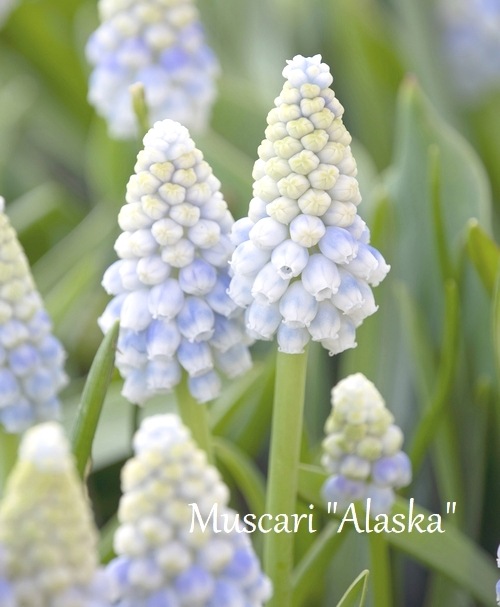 �ڵ庬�� �ॹ���� �إ��饹���� 5��