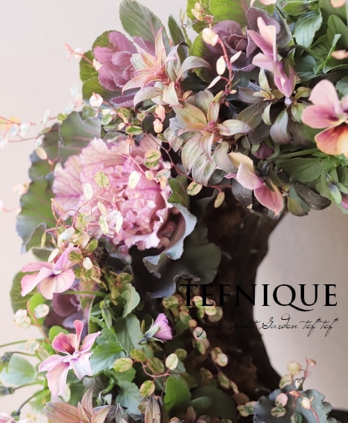 フレンチリース 寄せ植え】 -TEFNIQUE-寄せ植えリース 2025 * no.8 * 大人可愛い