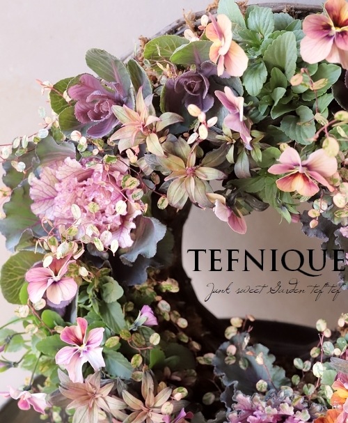 �ڴ󤻿����� -TEFNIQUE-�󤻿����꡼�� 2025 * no.8 *����Ͳİ�������ƥ�����Xmas�꡼����