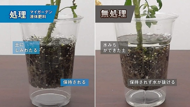�������� �ޥ������ǥ����������650ml�����ڤ�¿����ݿ�����ץ饹��