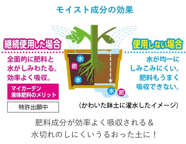 �������� �ޥ������ǥ����������650ml�����ڤ�¿����ݿ�����ץ饹��