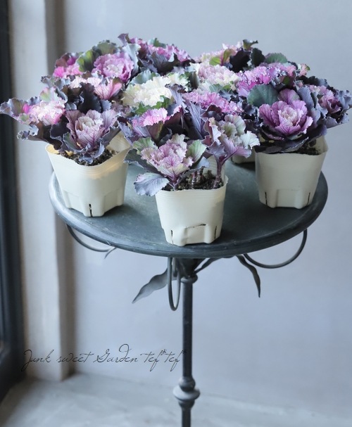 �ղ�ð�����å���󥷥꡼�����إ٥ʡ١��ե��