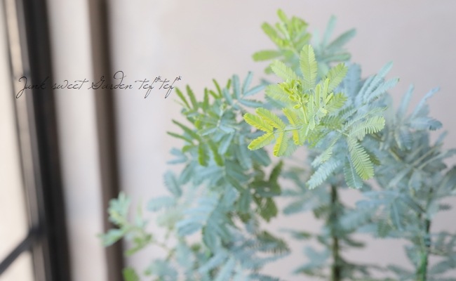 ���ե��������� �إߥ⥶����������