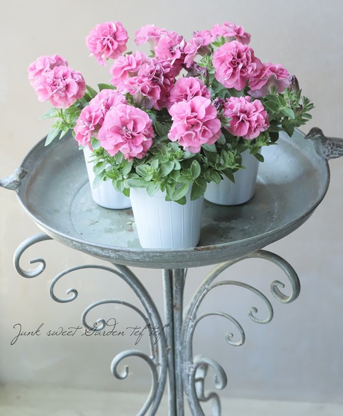 �ڲ����¤��󥪥ꥸ�ʥ�� Ȭ�ź餭�ڥ���˥����إۥ��åץޥ�����١��ե��ܥ��