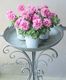�ڲ����¤��󥪥ꥸ�ʥ�� Ȭ�ź餭�ڥ���˥����إۥ��åץޥ�����١��ե��ܥ��