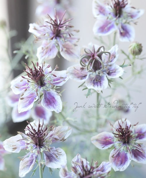 8_000000019123.jpg?1676108266