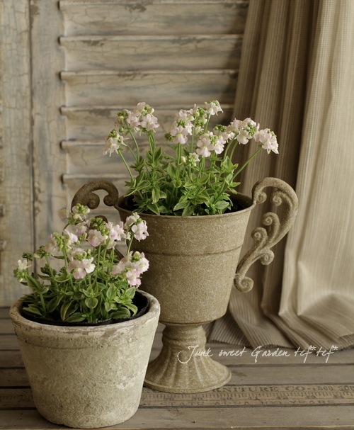 ������������ɺ��ͥ᥷�����إ��������ޥ����