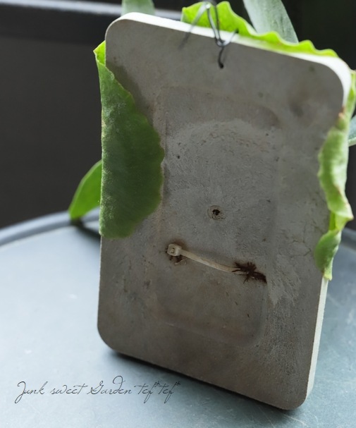 �ڴ��տ�ʪ�ۥӥ������� ���������B