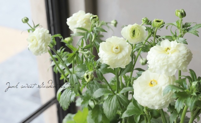 ��ʥ󥭥�饹����å������꡼�����إ��졼������