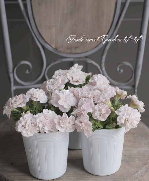 �ڲ����¤��󥪥ꥸ�ʥ�� Ȭ�ź餭�ڥ���˥� �إۥ��åץޥ������ ������