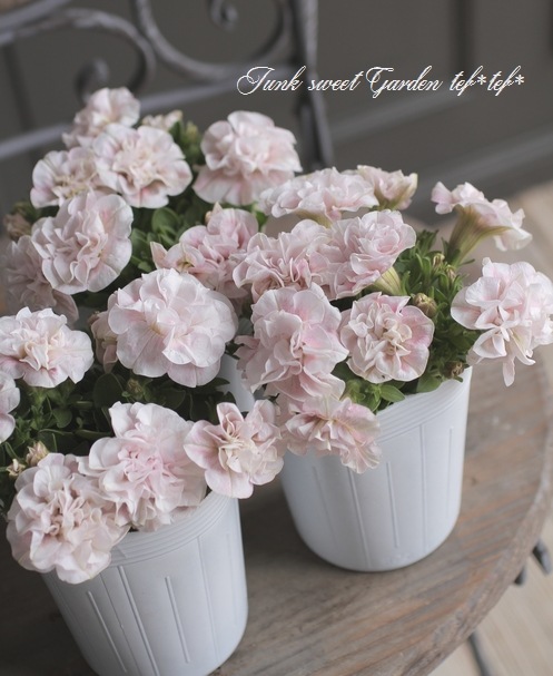 �ڲ����¤��󥪥ꥸ�ʥ�� Ȭ�ź餭�ڥ���˥� �إۥ��åץޥ������ ������