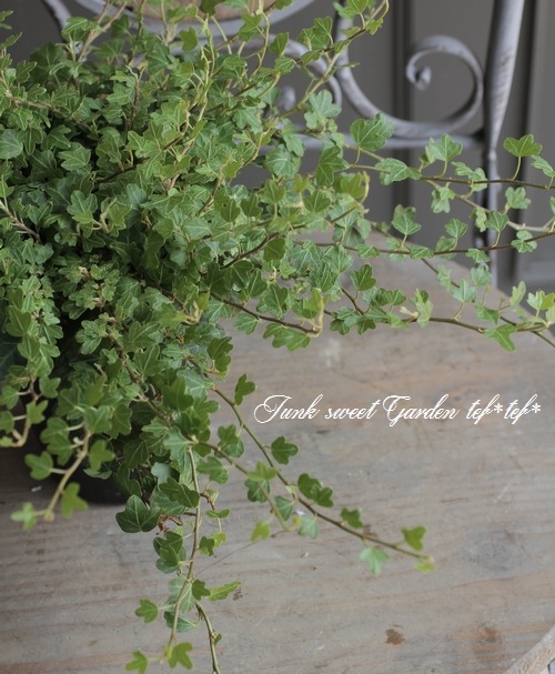 �إǥ顡�إ��å��եåȡ١����Ҥ��­�η�