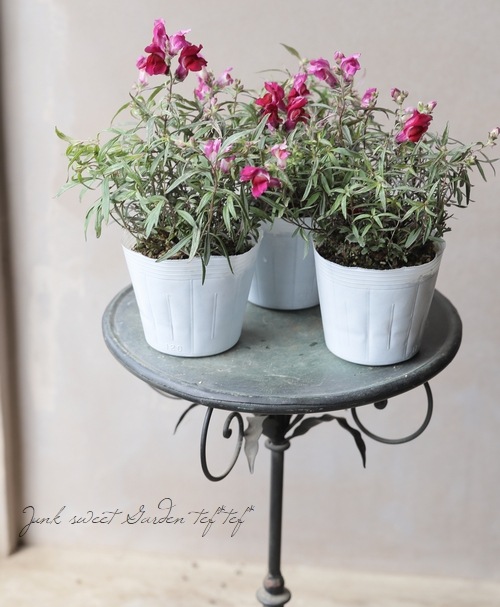 ꥭ󥮥祽إ󥷥󥰥