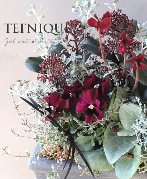 寄せ植え】-TEFNIQUE-寄せ植え 2023 * no.17 * 『ラグジュアリー