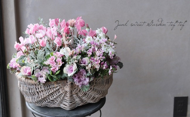 奥三河育ちのガーデンミニシクラメン・フレーム 『あずき』 | すべての