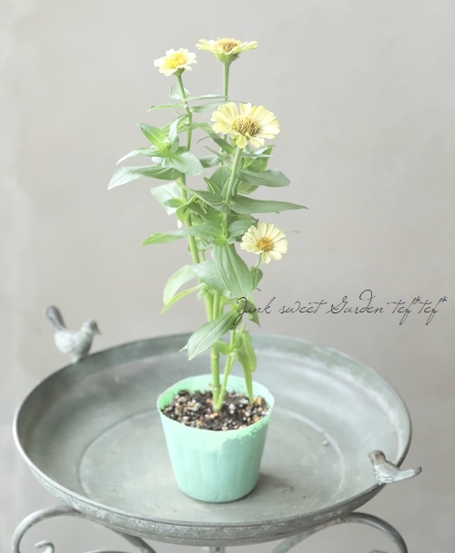 天上の花 Nagasawa Rosetsu / Dragon in the Clouds | 古美術瀬戸