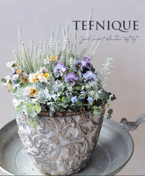 雑貨】 マシェリベーシック XL-GD | 鉢・テラコッタ・プランター