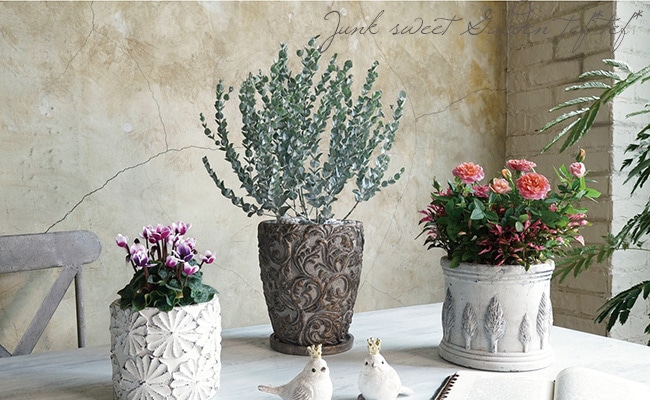 雑貨】 マシェリベーシック XL-GD | 鉢・テラコッタ・プランター