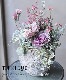 -TEFNIQUE-󤻿 2019 * no.126 *إץƥʥСԥ󥯢