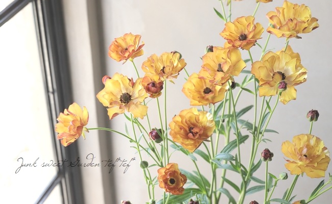 ラナンキュラス ラックスシリーズ 『サティロス』 | すべての商品