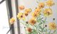 ��ʥ󥭥�饹����å������꡼�����إ��ƥ�������