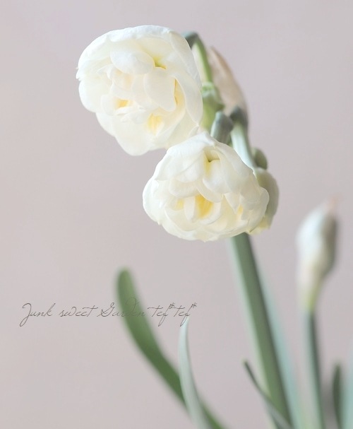 �������󡡡إ֥饤���륯�饦��١�