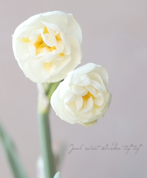 �������󡡡إ֥饤���륯�饦��١�