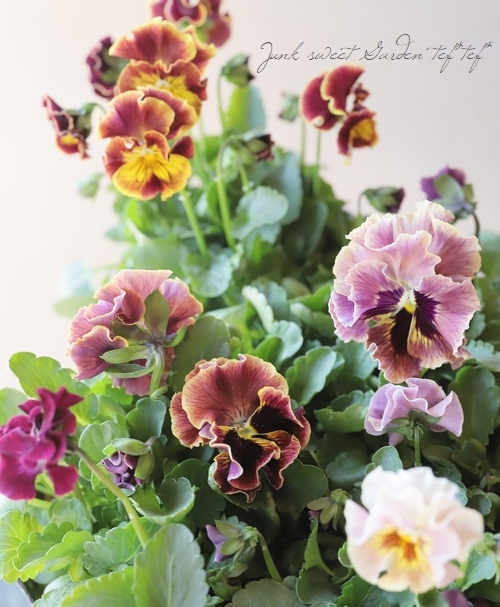 �ѥ󥸡�������λ���ʼ� ��MIX��