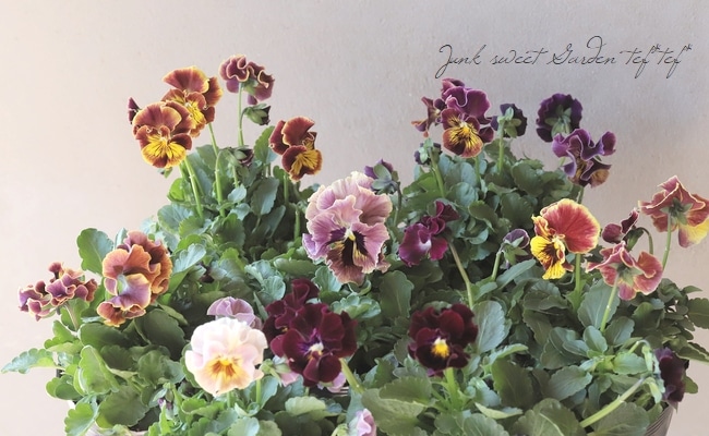 �ѥ󥸡�������λ���ʼ� ��MIX��