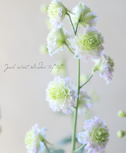 �ǥ�ե��˥��ࡦ�ϥ����������꡼�����إ��ꥹ����ǥ饤�ȡ�