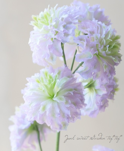 �ǥ�ե��˥��ࡦ�ϥ����������꡼�����إ��ꥹ����ǥ饤�ȡ�