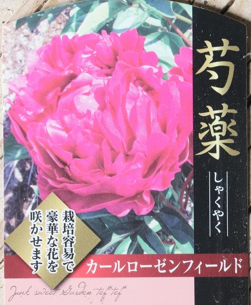 陶板　芍薬の花 最安値 陶板 芍薬の花 絵画 - 絵画