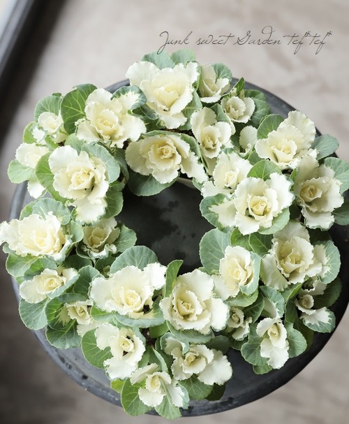 ղðå󥷥꡼إե쥢ۥ磻ȡ