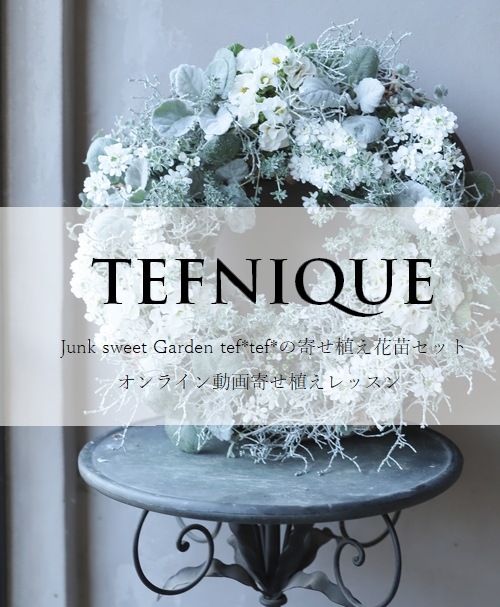 -TEFNIQUE-ڥ饤ư󤻿å 󤻿åȡإۥ磻XmasΥ꡼