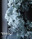 -TEFNIQUE-ڥ饤ư󤻿å 󤻿åȡإۥ磻XmasΥ꡼
