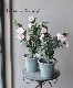 Ȭ�ź餭�९�����إԥ�Ȭ�š١�