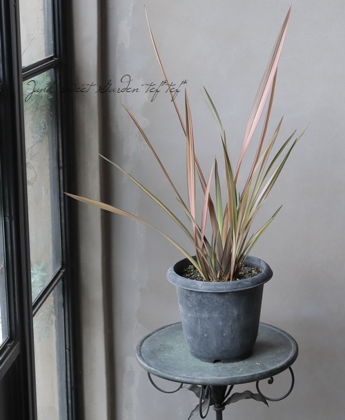 �˥塼������� �إ쥤��ܡ�����饤����