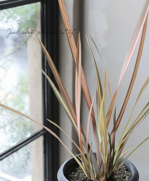 �˥塼������� �إ쥤��ܡ�����饤����