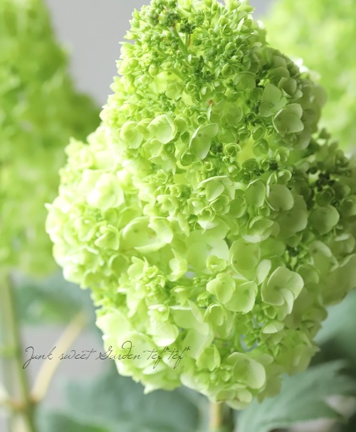 ���ջ��۲֡�����ѥ����ʼ�إϡ���ˡ���