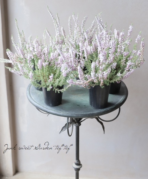 ���롼�ʡ���No.R��