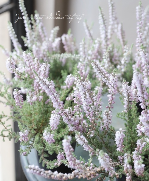 ���롼�ʡ���No.R��