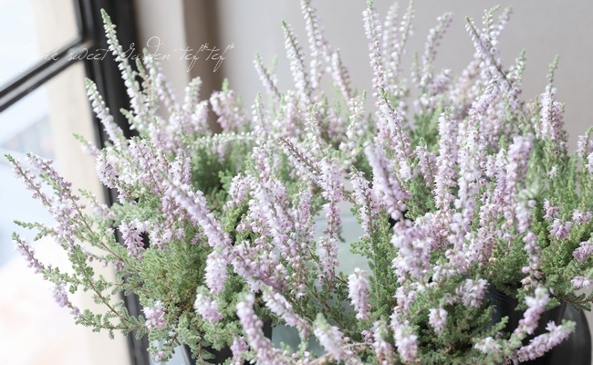 ���롼�ʡ���No.R��