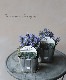 �����奬���إ��祳�졼�ȥ��åס�