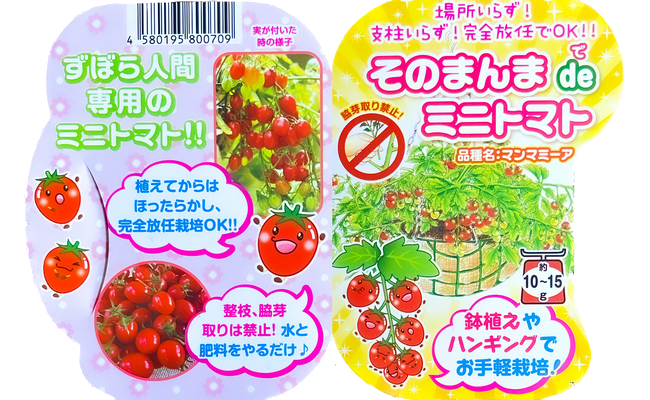 家庭菜園】 ミニトマト 『そのまんまdeミニトマト』 『マンマミーア