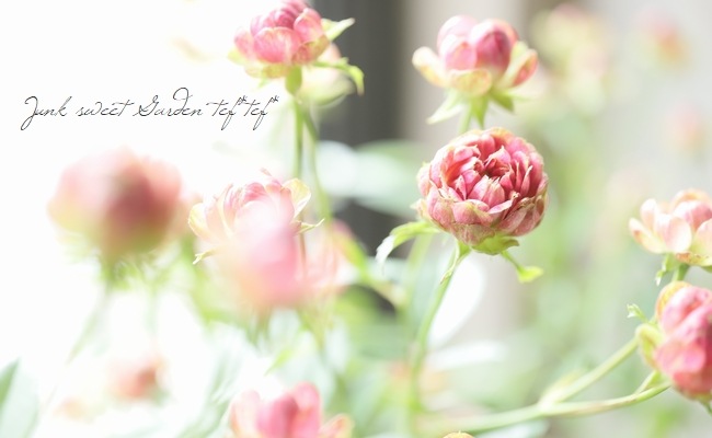 ���ץ졼�Х��ġ��͵��餭���إ�ǥ��å����