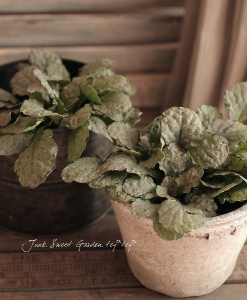 �����奬���إ���С��� �إ���С����ե���� �إ��졼��ǥ���