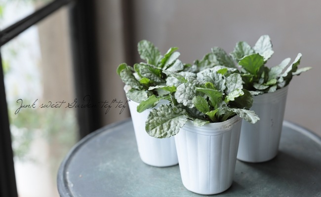 �����奬���إ���С��� �إ���С����ե���� �إ��졼��ǥ���